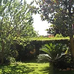 La Pedica Bed & Breakfast